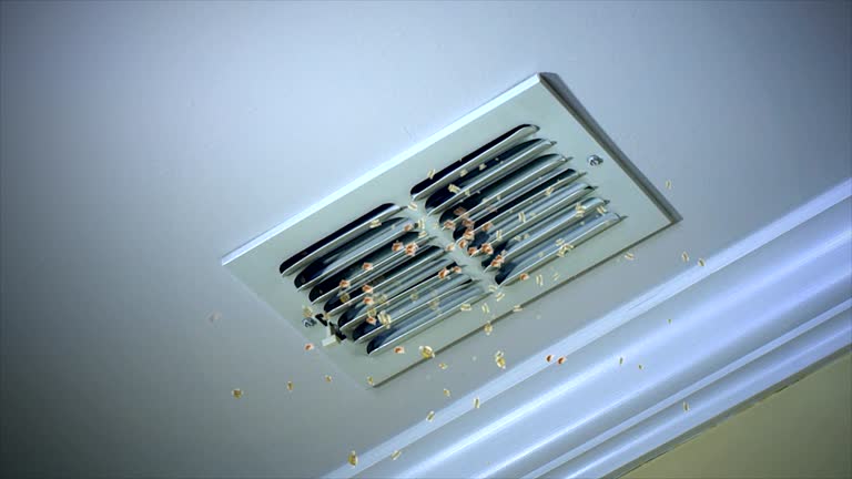 Best HVAC Air Duct Cleaning  in Cudahy, WI